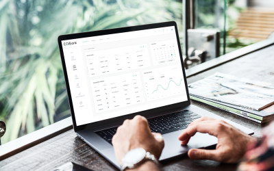 New Accounts, Loans & BaaS!
